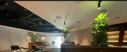 Solaris @tai Seng (D19), Factory #509837181